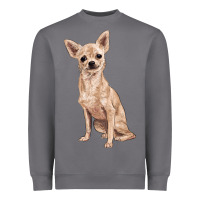 Storm chihuahua Heavyweight Sweatshirt - RanaPortraitStore