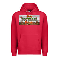 Cardinal football therapy license plate Premium Hoodie - BundleAndBundleShop