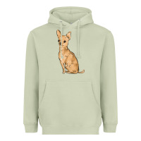 Matcha chihuahua Heavyweight Hoodie - MaliasSmallBusiness