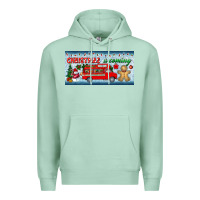 Seafoam christmas is coming license plate Premium Hoodie - BundleAndBundleShop