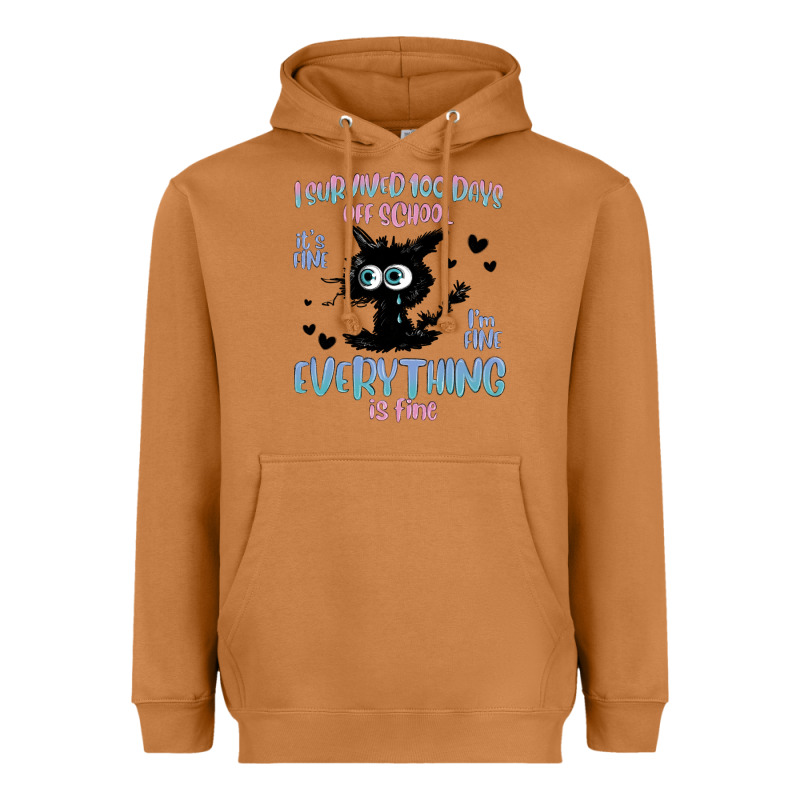 I Survived 100 Days Of School Cat Heavyweight Hoodie by MaliasSmallBusiness | Teevron