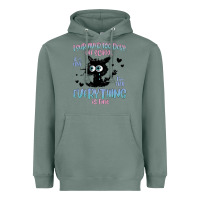 Sage i survived 100 days of school cat Heavyweight Hoodie - MaliasSmallBusiness