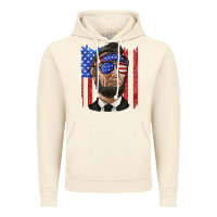 Vintage Artic American flag with lincoln Vintage Hoodie - texasbilliewilder