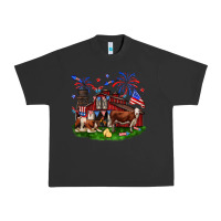 Pigment Black Barn farm animals 4th of July Urban Heavy Tee - Neo Western