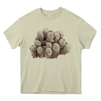 Mossy brown flowered cactus Heavy Core Tee - LillyAllenDesigns