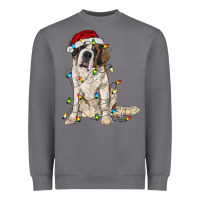 Storm saint bernard with christmas lights Heavyweight Sweatshirt - RanaPortraitStore