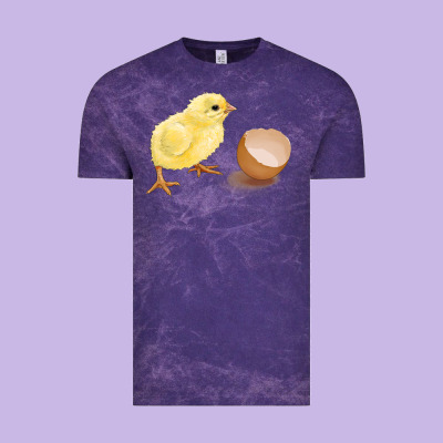 Chick With Egg Vintage Tee Designed By Ranaportraitstore