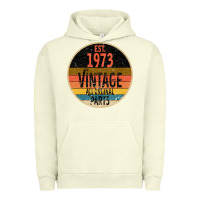 Pigment Pistachio Est 1973 Vintage All Original Parts Urban Hoodie - Bettercallsaul