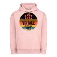 Pigment Salmon Est 1973 Vintage All Original Parts Urban Hoodie - Bettercallsaul