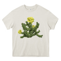 Cream whipple cholla cactus Heavy Core Tee - LillyAllenDesigns