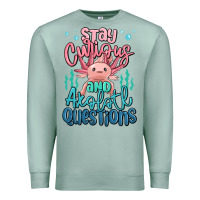 Stay Curious And Axolotl Questions Premium Sweatshirt | Teevron
