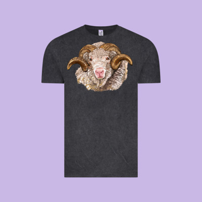 Merino Wool Ram Vintage Tee Designed By Barkaloodesign