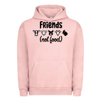 Pigment Salmon Friends not Food Urban Hoodie - Bettercallsaul