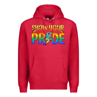 Cardinal Lgbtq Show Your Pride With Rainbow Premium Hoodie - BundleAndBundleShop