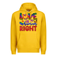 Lemon Love İs a Human Right Premium Hoodie - BundleAndBundleShop