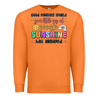 Carrot good morning world your little ray of sarcastic Premium Sweatshirt - MaliasSmallBusiness