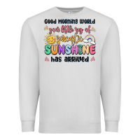 Dove Grey good morning world your little ray of sarcastic Premium Sweatshirt - MaliasSmallBusiness