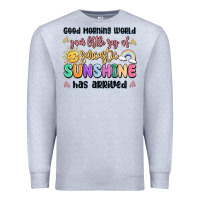 Heather Grey good morning world your little ray of sarcastic Premium Sweatshirt - MaliasSmallBusiness