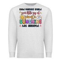 Oatmeal Heather good morning world your little ray of sarcastic Premium Sweatshirt - MaliasSmallBusiness
