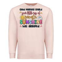 Pale Pink good morning world your little ray of sarcastic Premium Sweatshirt - MaliasSmallBusiness