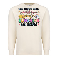 Sandshell good morning world your little ray of sarcastic Premium Sweatshirt - MaliasSmallBusiness