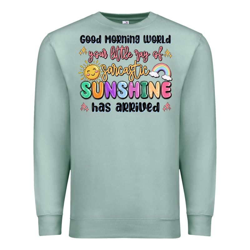 Good Morning World Your Little Ray Of Sarcastic Premium Sweatshirt by MaliasSmallBusiness | Teevron