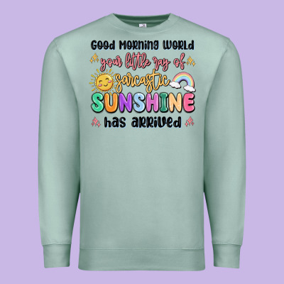Good Morning World Your Little Ray Of Sarcastic Premium Sweatshirt Designed By Maliassmallbusiness