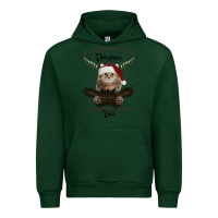 Forest Green All I Want For Christmas Is You Just Kidding I Want Cats Urban Hoodie - Bettercallsaul