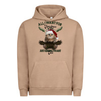 Pigment Burro All I Want For Christmas Is You Just Kidding I Want Cats Urban Hoodie - Bettercallsaul