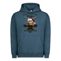 Pigment Midnight Navy All I Want For Christmas Is You Just Kidding I Want Cats Urban Hoodie - Bettercallsaul