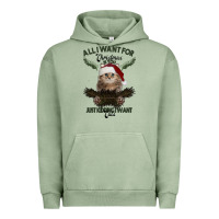 Pigment Oil Green All I Want For Christmas Is You Just Kidding I Want Cats Urban Hoodie - Bettercallsaul