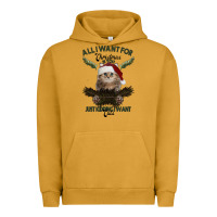 All I Want For Christmas Is You Just Kidding I Want Cats Urban Hoodie | Teevron