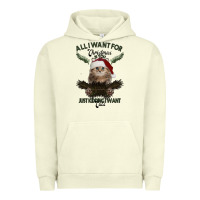 Pigment Pistachio All I Want For Christmas Is You Just Kidding I Want Cats Urban Hoodie - Bettercallsaul