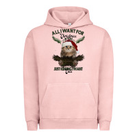 Pigment Salmon All I Want For Christmas Is You Just Kidding I Want Cats Urban Hoodie - Bettercallsaul