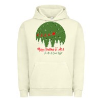 Pigment Pistachio Merry Christmas To All To All A Good Night Urban Hoodie - Bettercallsaul