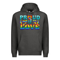 Charcoal Heather Lgbtq Proud Of Love Premium Hoodie - BundleAndBundleShop