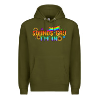 Army Green Sounds Gay I'm in Pride LGBTQ Premium Hoodie - BundleAndBundleShop
