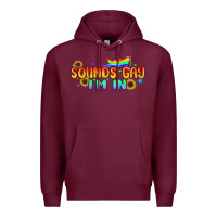 Burgundy Sounds Gay I'm in Pride LGBTQ Premium Hoodie - BundleAndBundleShop