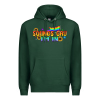 Sports Green Sounds Gay I'm in Pride LGBTQ Premium Hoodie - BundleAndBundleShop