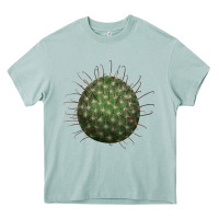 Arona arizona fishhook cactus Heavy Core Tee - LillyAllenDesigns