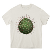 Cream arizona fishhook cactus Heavy Core Tee - LillyAllenDesigns