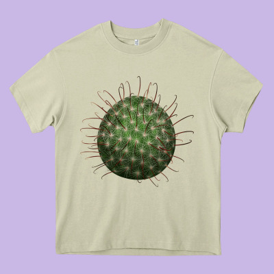 Arizona Fishhook Cactus Heavy Core Tee Designed By Lillyallendesigns