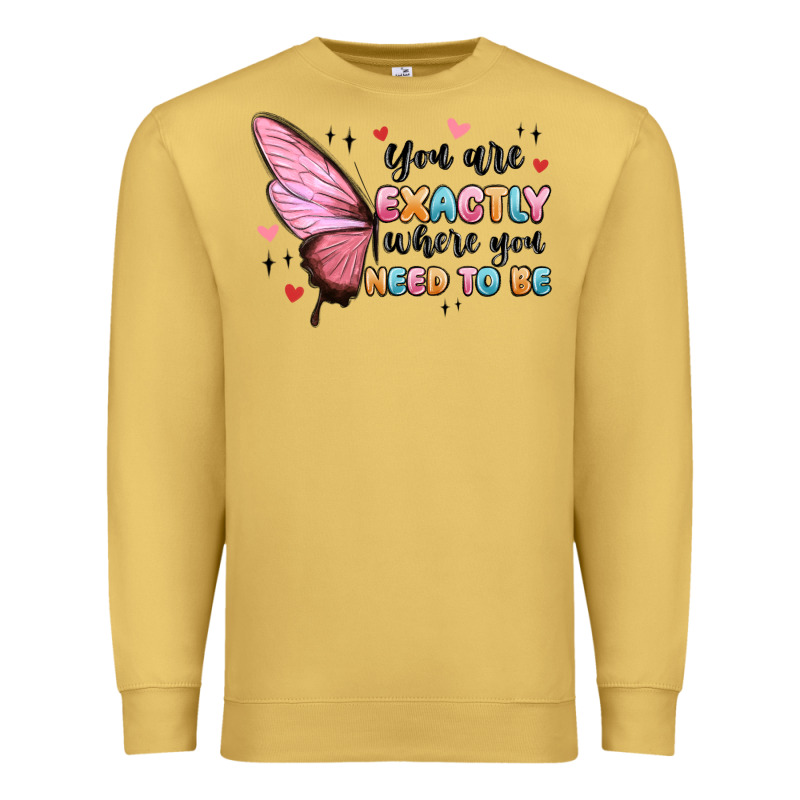 You Sre Exactly Where You Need To Be Premium Sweatshirt by MaliasSmallBusiness | Teevron