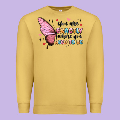 You Sre Exactly Where You Need To Be Premium Sweatshirt Designed By Maliassmallbusiness