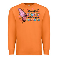 Carrot you sre exactly where you need to be Premium Sweatshirt - MaliasSmallBusiness