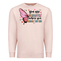 Pale Pink you sre exactly where you need to be Premium Sweatshirt - MaliasSmallBusiness