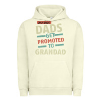 Pigment Pistachio Only Great Dads Get Promoted To Grandad Urban Hoodie - Bettercallsaul