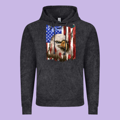 Vintage Hoodie usa flag with eagle head