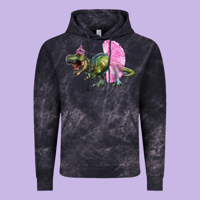 Vintage Hoodie balerina t rex dinosaur with tutu
