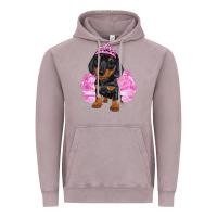 Vintage Zinc Balerina Dachshund With Tutu Vintage Hoodie - RanaPortraitStore